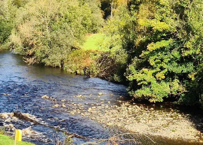 The Meetings 3* Avoca