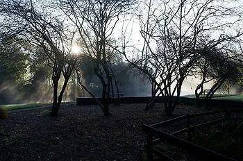 The Meetings Авока
